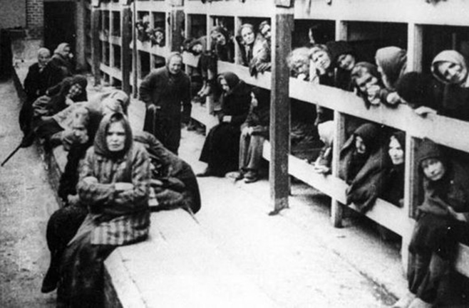 COPERTINA.AUSCHWITZ